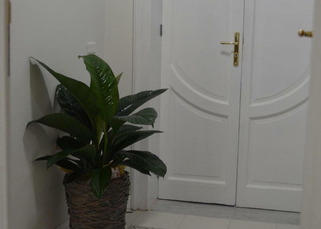B&B Domus Palmi Exterior photo